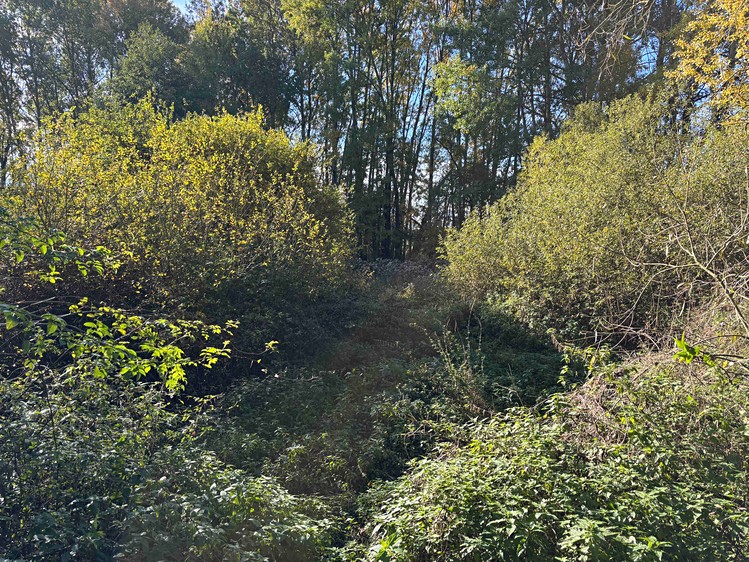 Grundstück zum Kauf, 6.467 m² (9 von 12)
