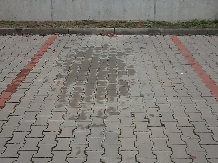 Immobilie zur Miete, 18 m² (1 von 3)