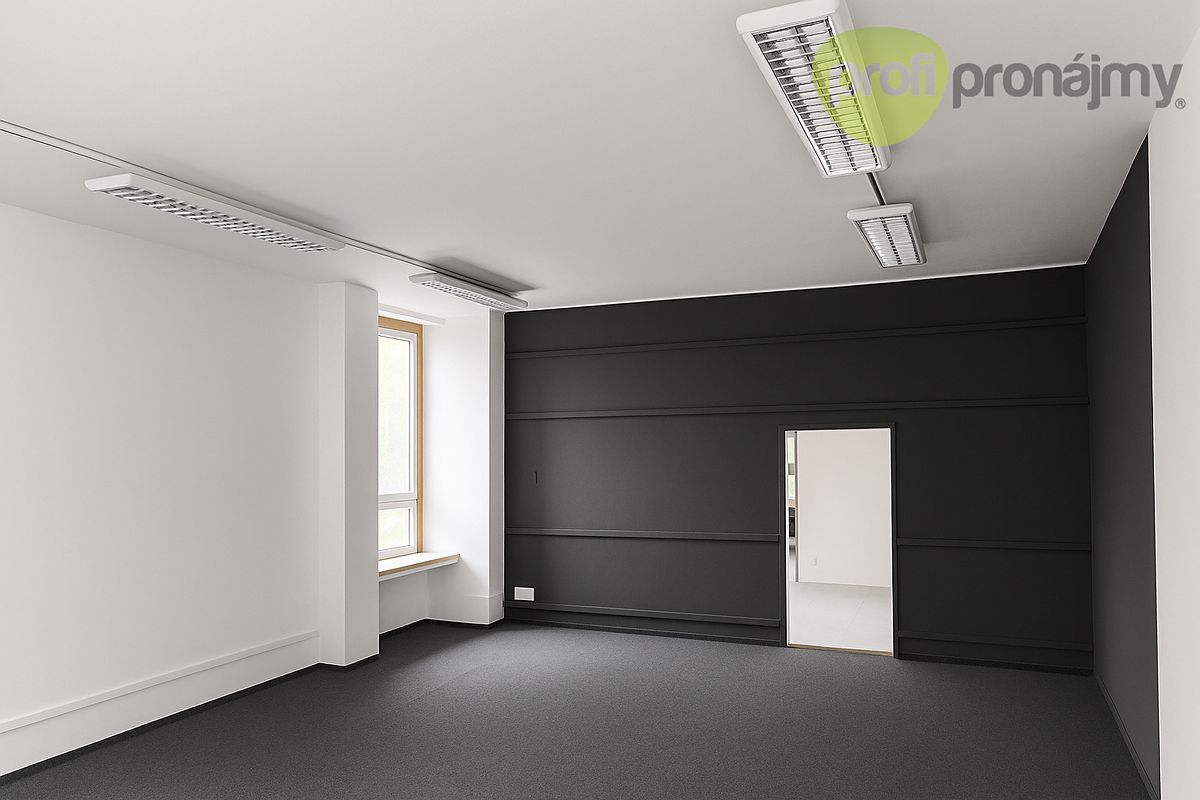 Pronájem obchodního prostoru 230 m² – fotografie 3