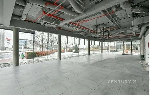 Pronájem kanceláře 287 m² – fotografie 3