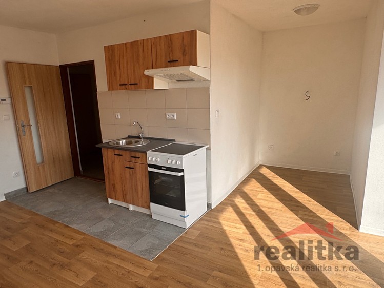 Wohnung 1+kk zur Miete, 27 m² (5 von 6)