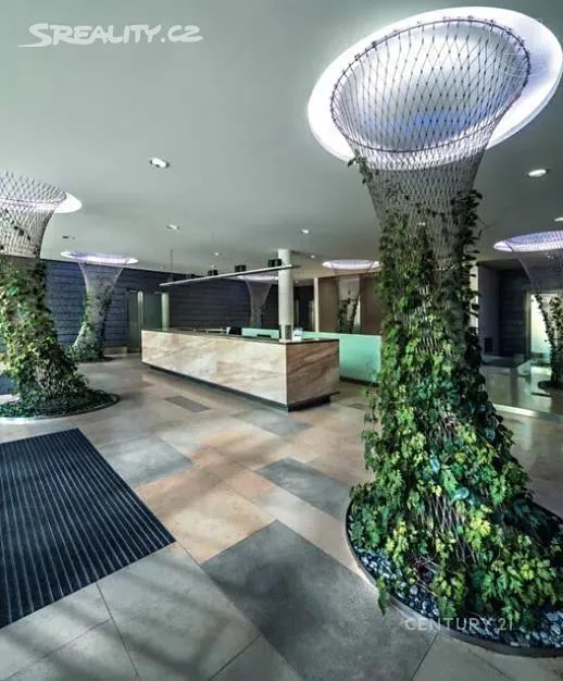 Pronájem kanceláře 287 m² – pohled 4