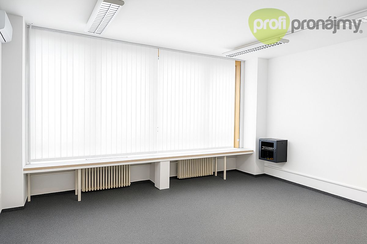 Pronájem obchodního prostoru 230 m² – fotografie 2