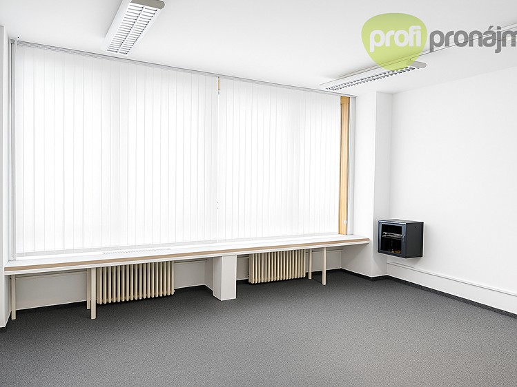 Gewerbefläche zur Miete, 230 m² (2 von 4)