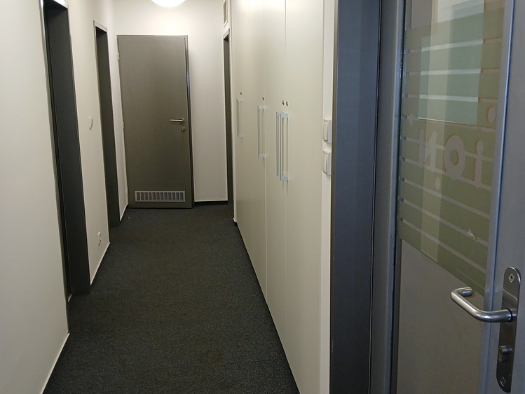 Pronájem komerčního prostoru, 309 m² (6 z 7)