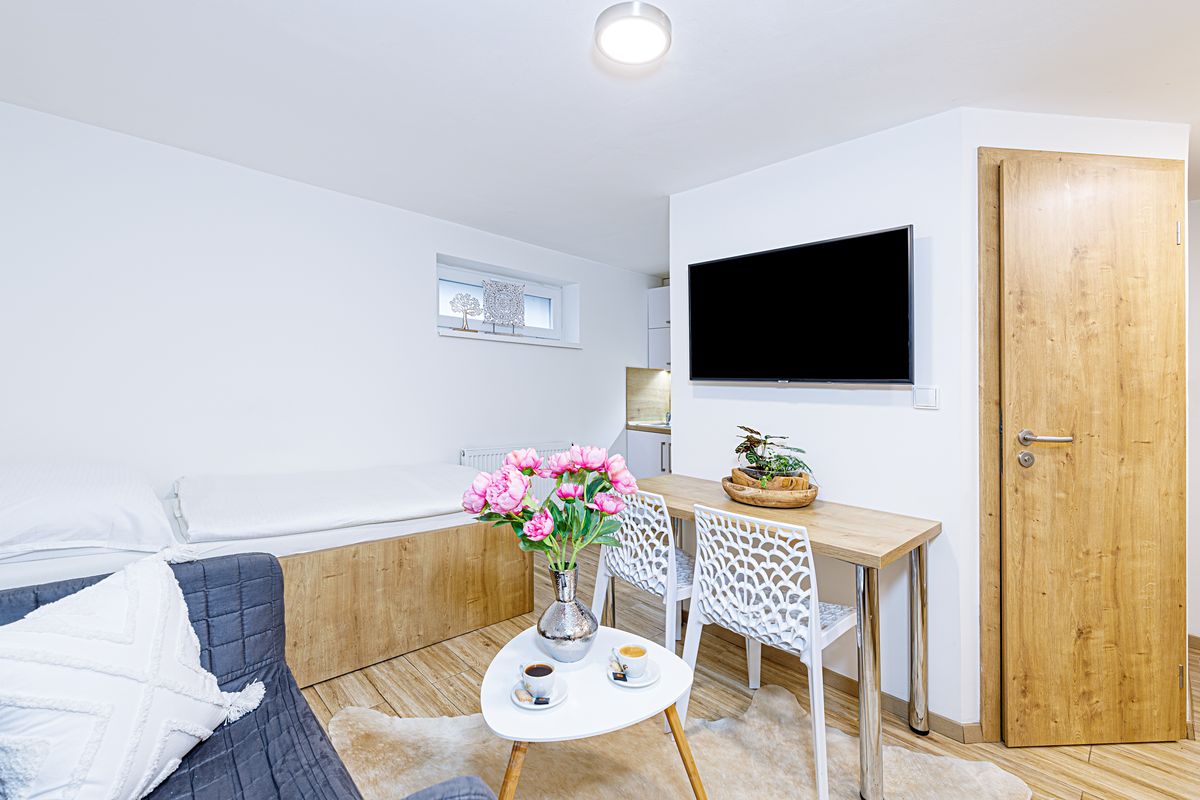 Pronájem bytu 1+kk 20 m² – fotografie 3