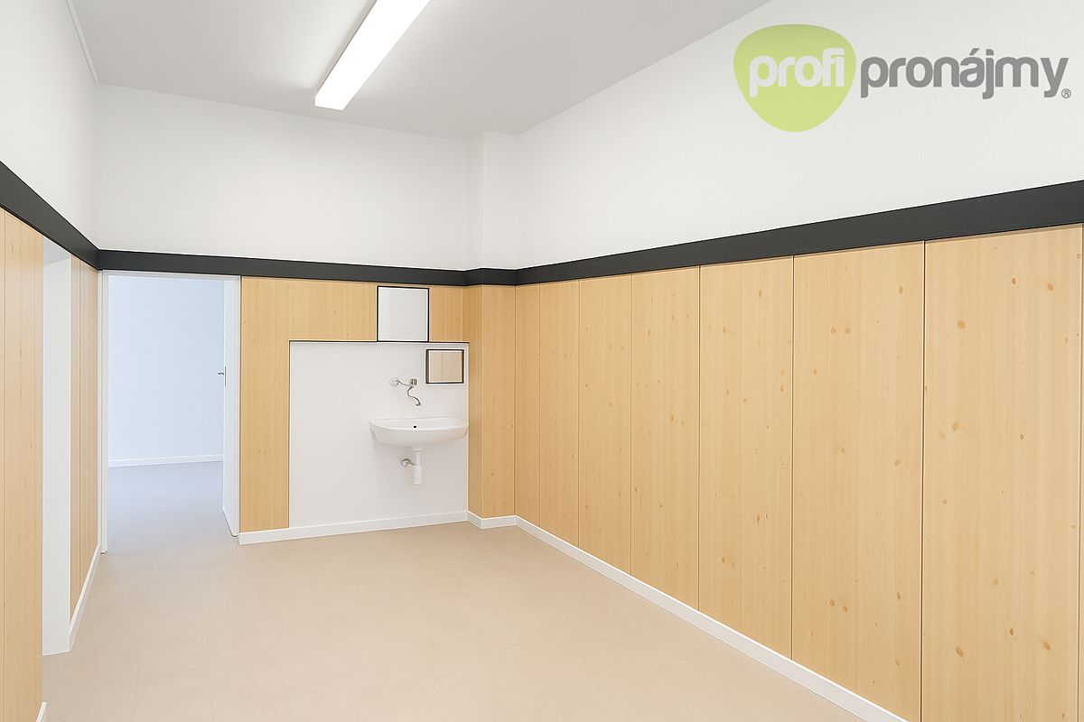 Pronájem obchodního prostoru 230 m² – fotografie 4