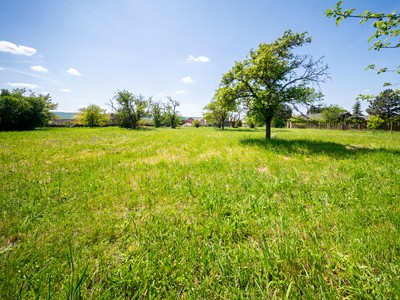 Grundstück zum Kauf, 3.623 m² (2 von 12)