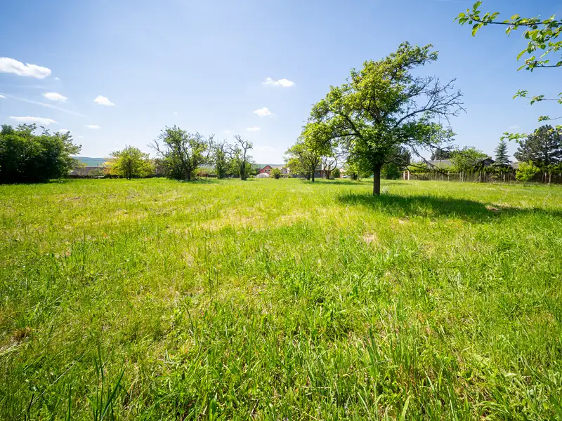 Prodej stavebního pozemku 3623 m², Bučovice – náhled fotky 2
