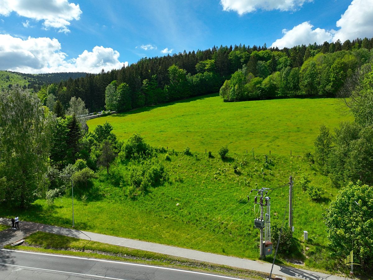 Prodej komerčního pozemku 2717 m², Ludvíkov – fotka 1 z 3