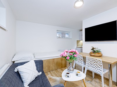 Pronájem bytu 1+kk 20 m² (Jednopodlažní)