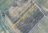 Prodej sadu, vinice 2236 m²Klobouky u Brna