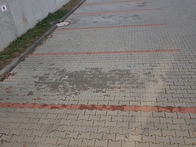 Immobilie zur Miete, 18 m² (2 von 3)