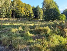 Dražba  zahrady 201 m²