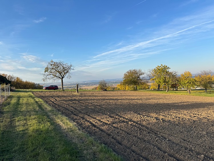 Grundstück zum Kauf, 2.677 m² (5 von 15)
