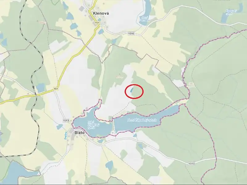 Prodej lesa 2850 m², Nová Bystřice – náhled fotky 1