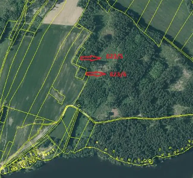 Prodej lesa 2850 m², Nová Bystřice – náhled fotky 3