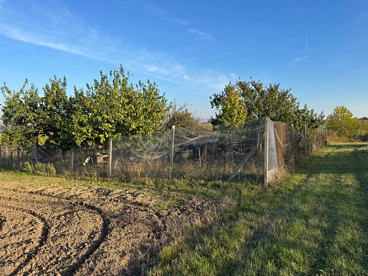 Grundstück zum Kauf, 2.677 m² (10 von 15)