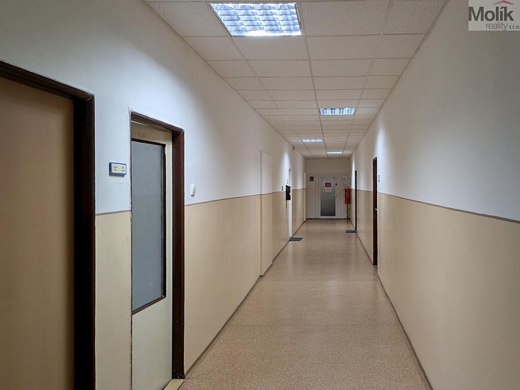 Pronájem komerčního prostoru, 18 m² (17 z 22)