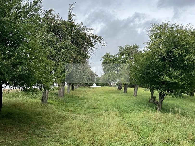 Grundstück zum Kauf, 11.900 m² (18 von 31)