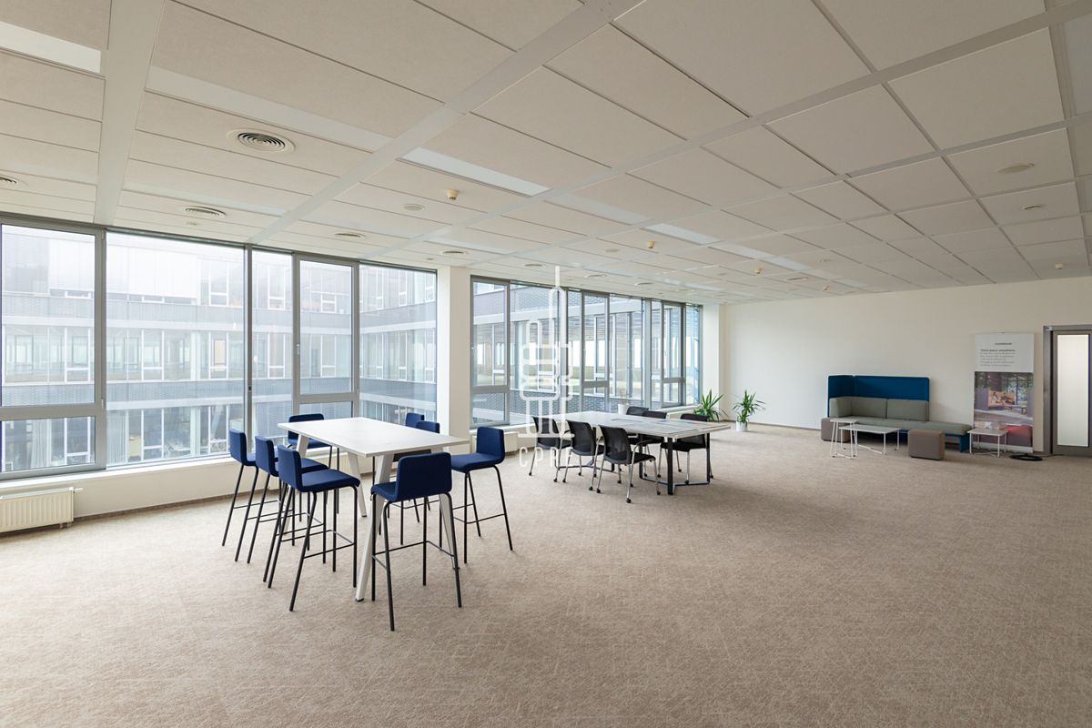 Pronájem kanceláře 2540 m² – fotografie 5