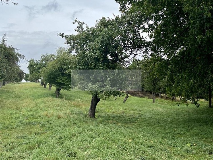 Grundstück zum Kauf, 11.900 m² (11 von 31)