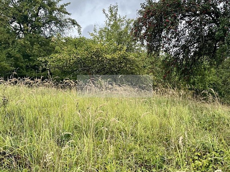 Grundstück zum Kauf, 11.900 m² (25 von 31)