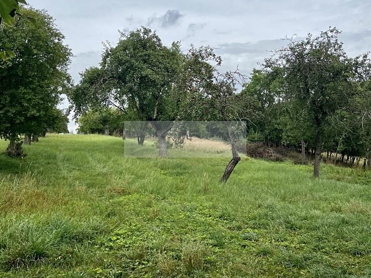 Grundstück zum Kauf, 11.900 m² (13 von 31)