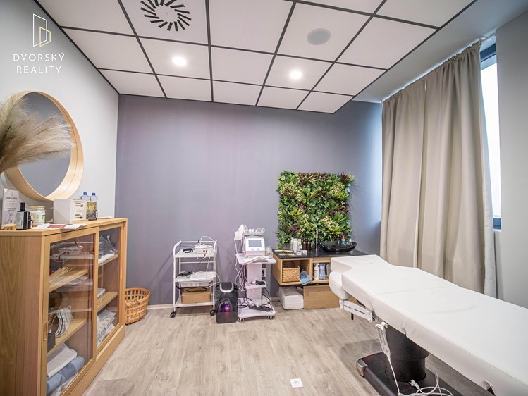 Prodej komerčního prostoru, 4 857 m² (12 z 30)