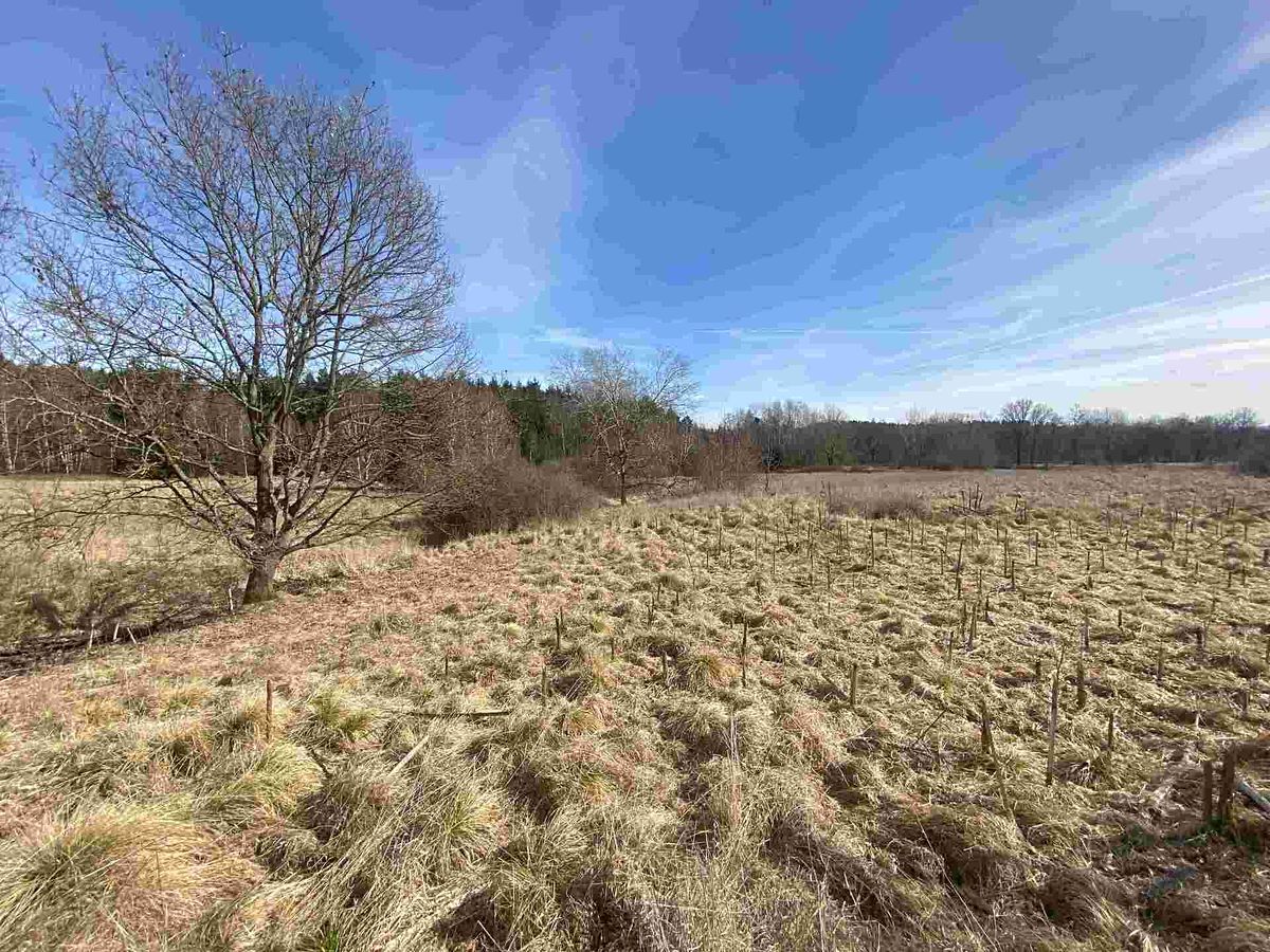 Prodej pole 15408 m² – fotografie 3