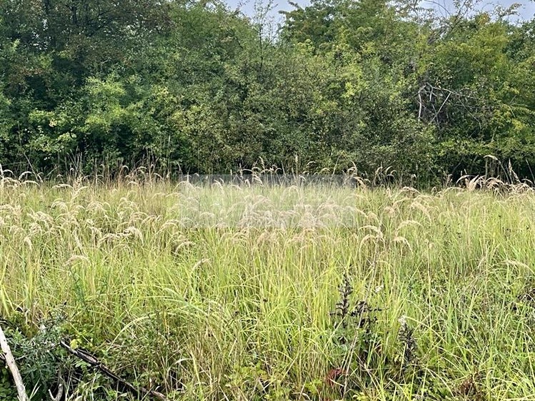 Grundstück zum Kauf, 11.900 m² (23 von 31)