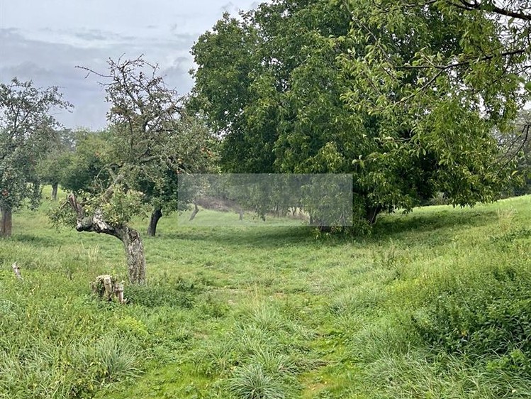 Grundstück zum Kauf, 11.900 m² (29 von 31)