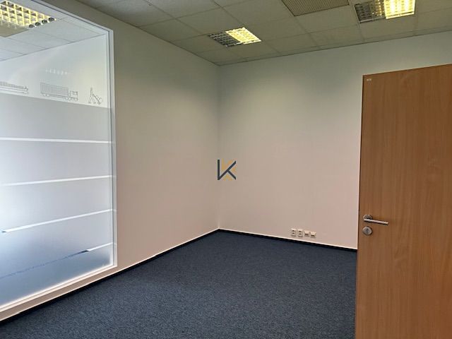 Pronájem kanceláře 244 m² – fotografie 5