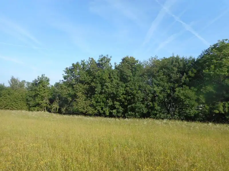 Prodej lesa 4066 m², Meziříčko – náhled fotky 1