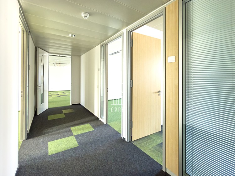 Комерційне приміщення в оренду, 331 м² (8 з 10)