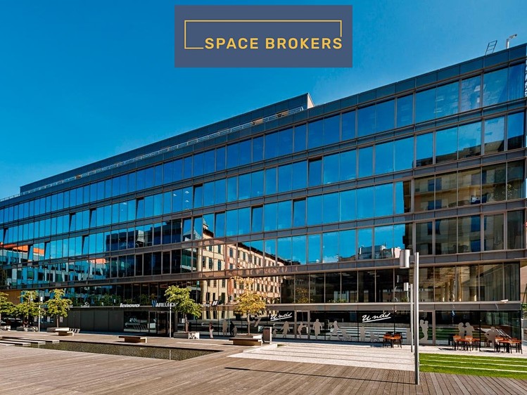 Комерційне приміщення в оренду, 330 м² (5 з 21)