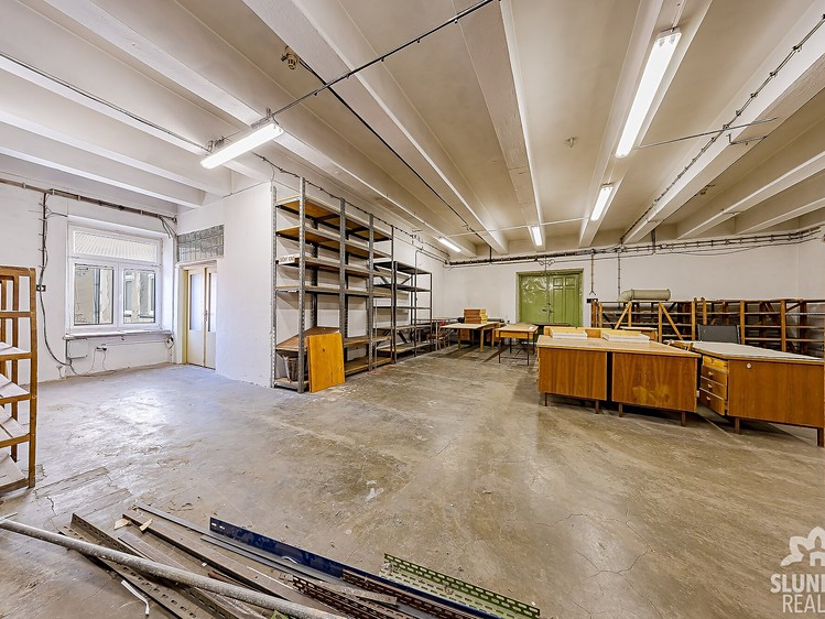Gewerbefläche zur Miete, 250 m² (2 von 6)