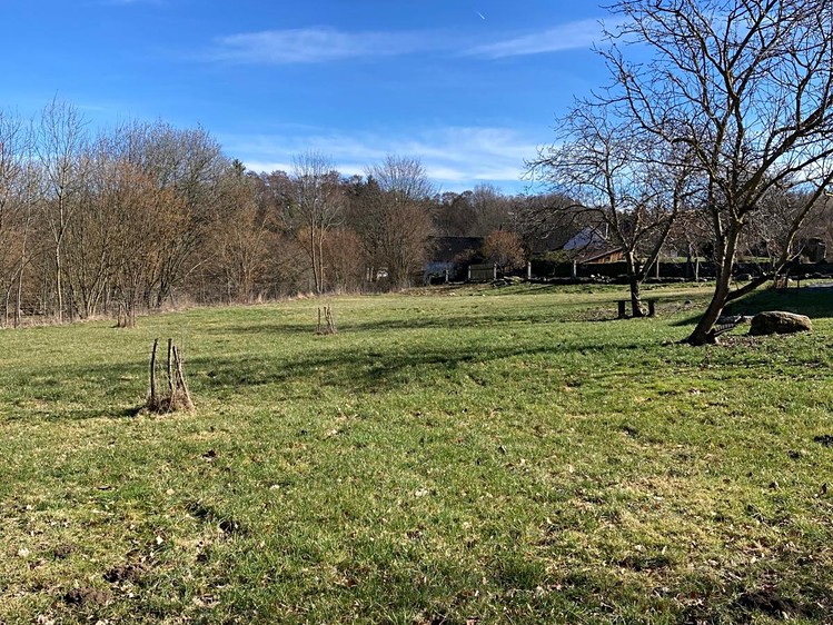 Grundstück zum Kauf, 3.772 m² (3 von 15)