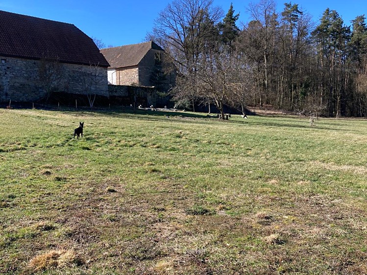 Grundstück zum Kauf, 3.772 m² (13 von 15)