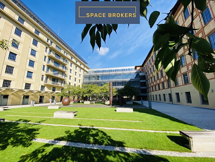 Комерційне приміщення в оренду, 620 м² (8 з 14)