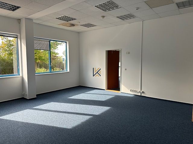 Gewerbefläche zur Miete, 244 m² (6 von 7)