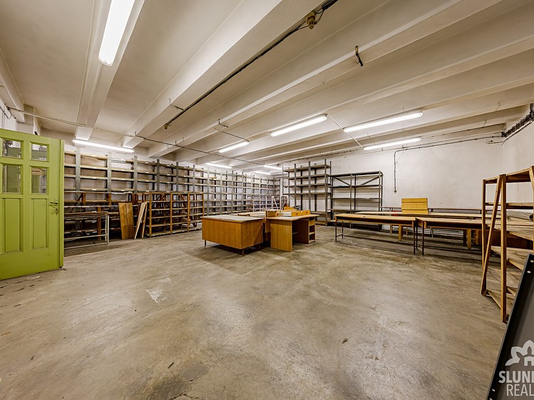 Gewerbefläche zur Miete, 250 m² (1 von 6)