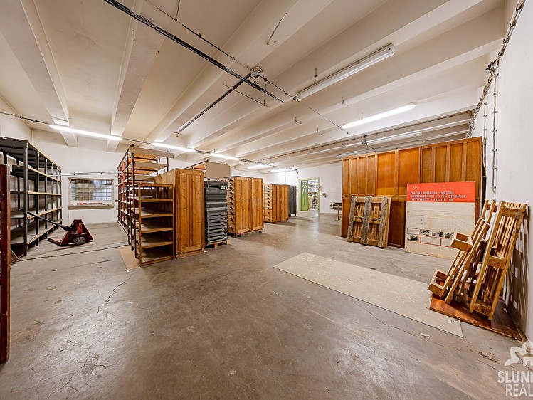 Gewerbefläche zur Miete, 250 m² (5 von 6)