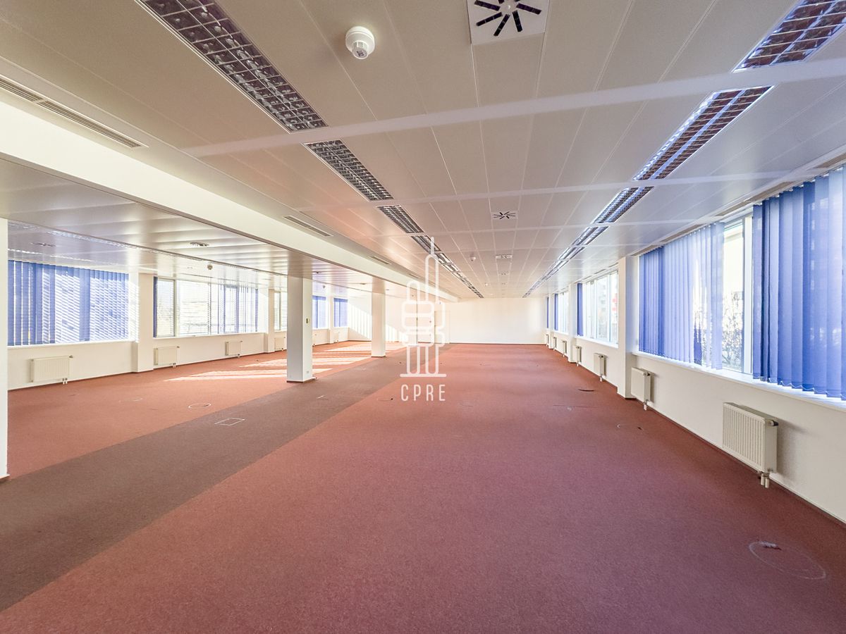 Pronájem kanceláře 393 m² – fotografie 2