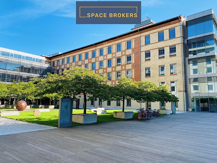 Комерційне приміщення в оренду, 620 м² (13 з 14)