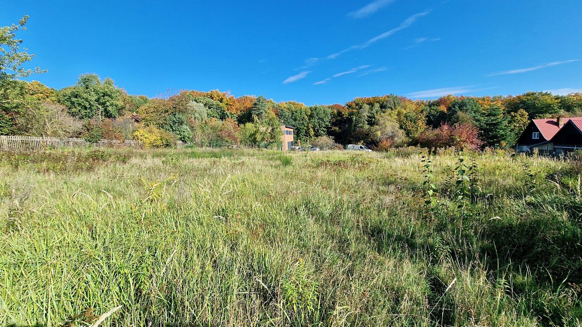Prodej stavebního pozemku 1775 m², Černé Voděrady – fotka 1 z 3