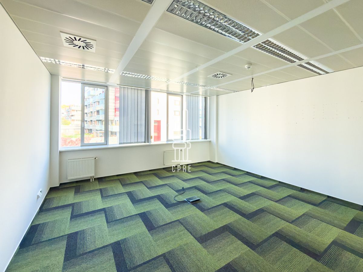 Pronájem kanceláře 331 m² – fotografie 4