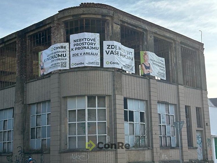 Комерційне приміщення в оренду, 700 м² (4 з 4)