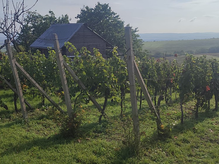 Grundstück zum Kauf, 2.677 m² (15 von 15)