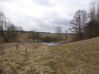 Prodej pole 1500 m²